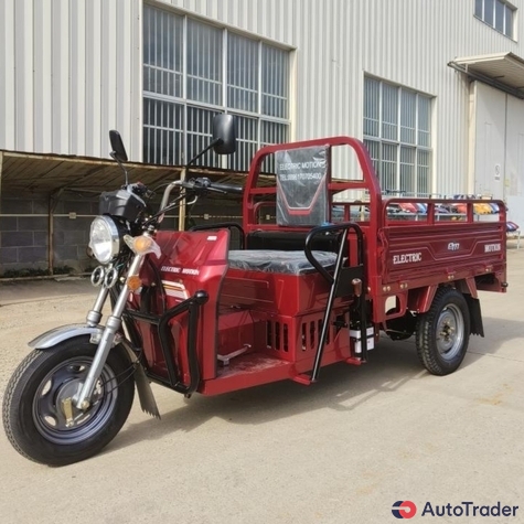 $2,300 EM Tricycle TZ1 - $2,300 3