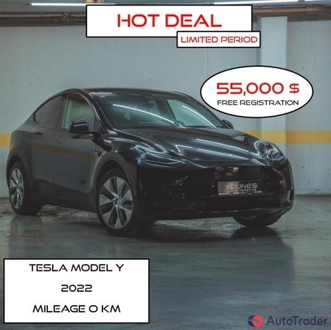 $55,000 Tesla Model Y - $55,000 1